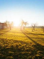 Girlfriends  lt;/pgt