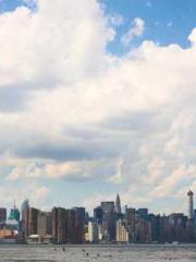 Super husband Lin Xi