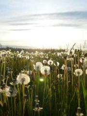 Bones-Eating Marriag