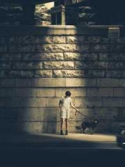 Shen Ning Ran Bao Ji