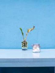 Mr. Gu, your wife is