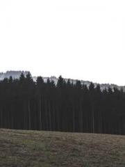 The Poisonous Doctor