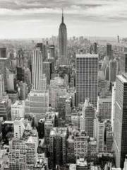 Cultivating My Empre