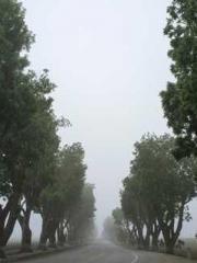 Lin Feng Lin Yun Yao