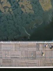 One person opens the